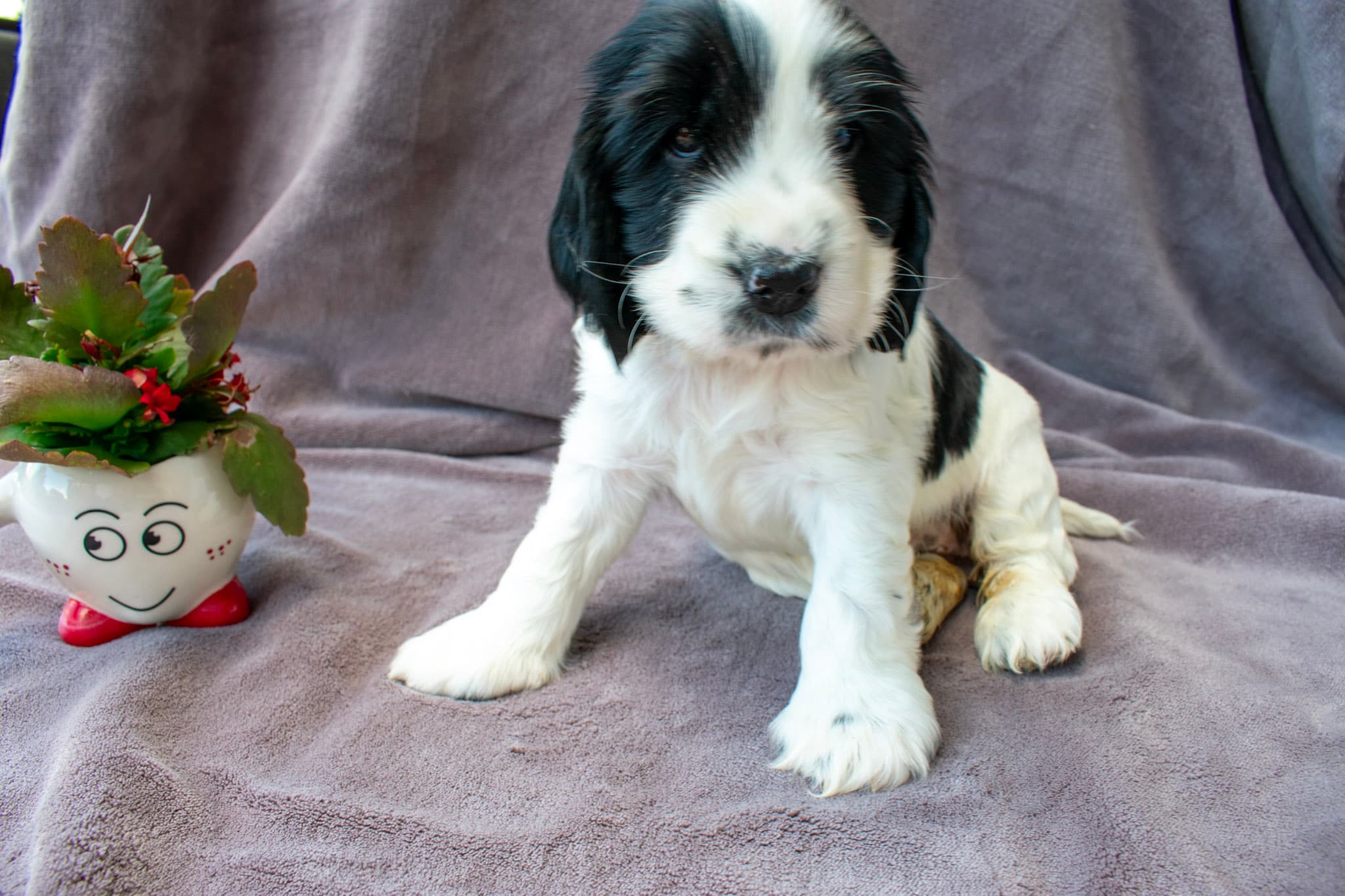 Always the first von den Isarwiesen